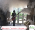 TechSquadTeam offers reliable mosquito control in Bangalore